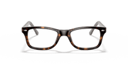 Clear Lenses, Polished Havana Frame