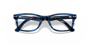 Clear Lenses, Polished Striped Blue Frame