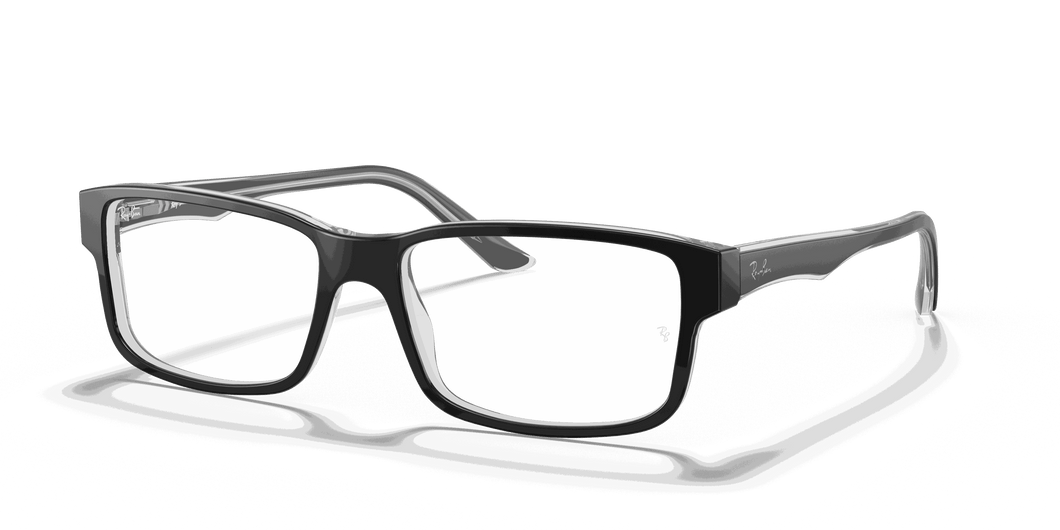 [Clear Lenses, Polished Black On Transparent Frame]