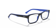 Clear Lenses, Polished Black On Blue Frame