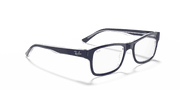 Clear Lenses, Polished Blue On Transparent Frame