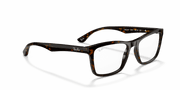 Clear Lenses, Polished Dark Havana Frame