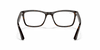 [Clear Lenses, Polished Dark Havana Frame]