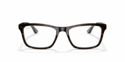 Clear Lenses, Polished Dark Havana Frame