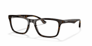 Clear Lenses, Polished Dark Havana Frame