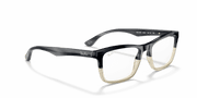 Clear Lenses, Polished Grey Horn Frame