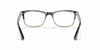 [Clear Lenses, Polished Grey Horn Frame]