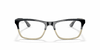 [Clear Lenses, Polished Grey Horn Frame]