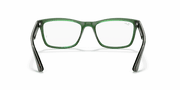 Clear Lenses, Polished Havana On Transparent Green Frame