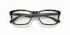 [Clear Lenses, Polished Havana On Transparent Green Frame]