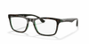 [Clear Lenses, Polished Havana On Transparent Green Frame]