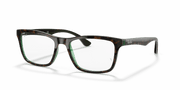 Clear Lenses, Polished Havana On Transparent Green Frame