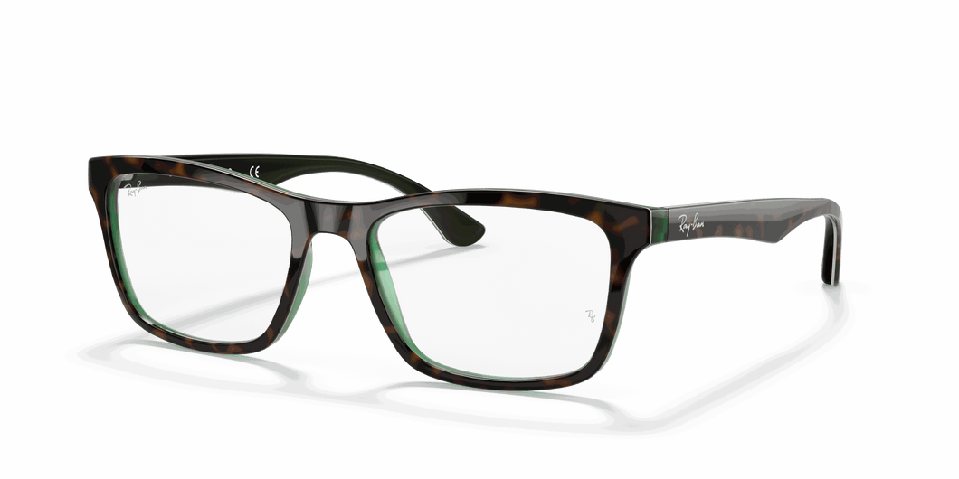 [Clear Lenses, Polished Havana On Transparent Green Frame]