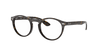 [Clear Lenses, Polished Dark Havana Frame]