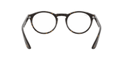 Clear Lenses, Polished Dark Havana Frame