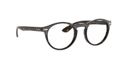 Clear Lenses, Polished Dark Havana Frame