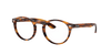 [Clear Lenses, Polished Striped Havana Frame]