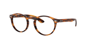 Clear Lenses, Polished Striped Havana Frame