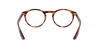 [Clear Lenses, Polished Striped Havana Frame]