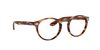 [Clear Lenses, Polished Striped Havana Frame]