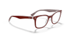 [Clear Lenses, Polished Bordeaux On Transparent Frame]