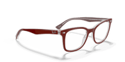 Clear Lenses, Polished Bordeaux On Transparent Frame