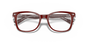 Clear Lenses, Polished Bordeaux On Transparent Frame