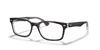 [Clear Lenses, Polished Havana On Transparent Frame]