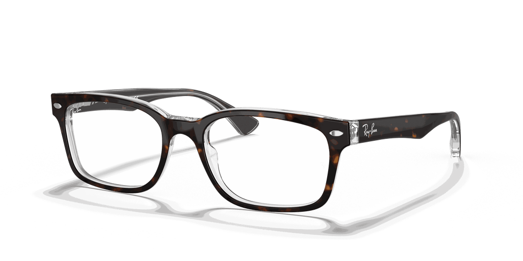 [Clear Lenses, Polished Havana On Transparent Frame]