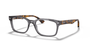 Clear Lenses, Polished Grey Frame