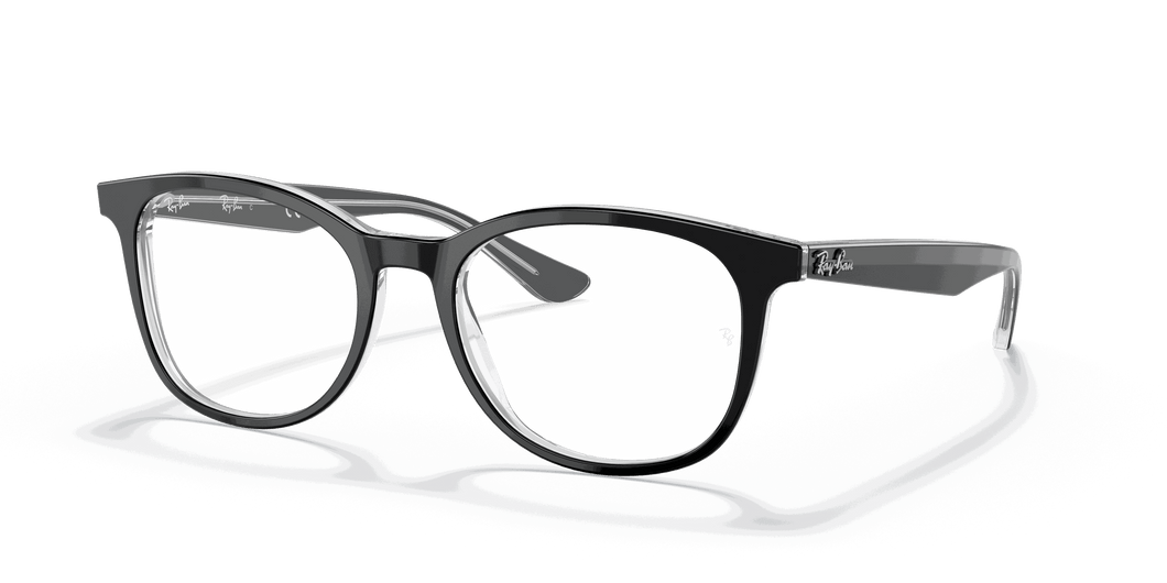 [Clear Lenses, Polished Black On Transparent Frame]