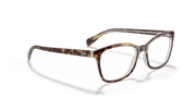 Clear Lenses, Polished Havana On Transparent Frame