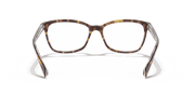 Clear Lenses, Polished Havana On Transparent Frame