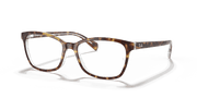 Clear Lenses, Polished Havana On Transparent Frame