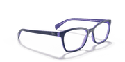 Clear Lenses, Polished Blue Frame