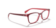 Clear Lenses, Polished Purple-Reddish Frame