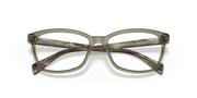 Clear Lenses, Polished Transparent Green Frame