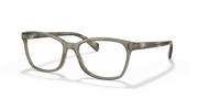 Clear Lenses, Polished Transparent Green Frame