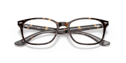 Clear Lenses, Polished Havana On Transparent Frame