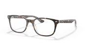 Clear Lenses, Polished Havana On Transparent Frame