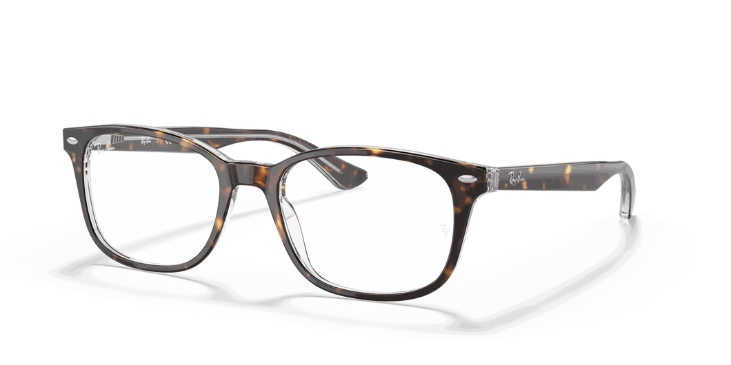 [Clear Lenses, Polished Havana On Transparent Frame]