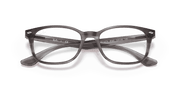 Clear Lenses, Polished Striped Grey Frame