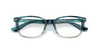 [Clear Lenses, Polished Havana Frame]