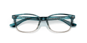 Clear Lenses, Polished Havana Frame