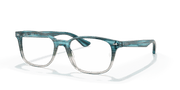 Clear Lenses, Polished Havana Frame