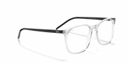 Clear Lenses, Polished Transparent Frame