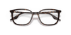 [Clear Lenses, Polished Havana Frame]