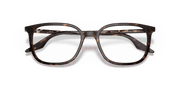 Clear Lenses, Polished Havana Frame