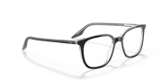 Clear Lenses, Polished Black On Transparent Frame