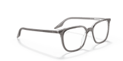 Clear Lenses, Polished Grey On Transparent Frame